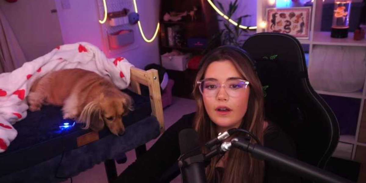 Marvel Rivals: El co-piloto perruno se vuelve viral—Victoria en eSports